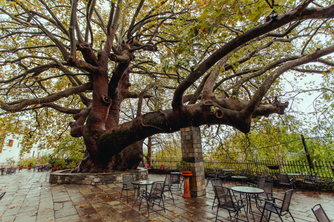 Pelion harmony between mountain and sea
